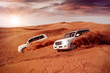 The Dubai Desert offers a unique and thrilling escape from the city, with vast golden sand dunes